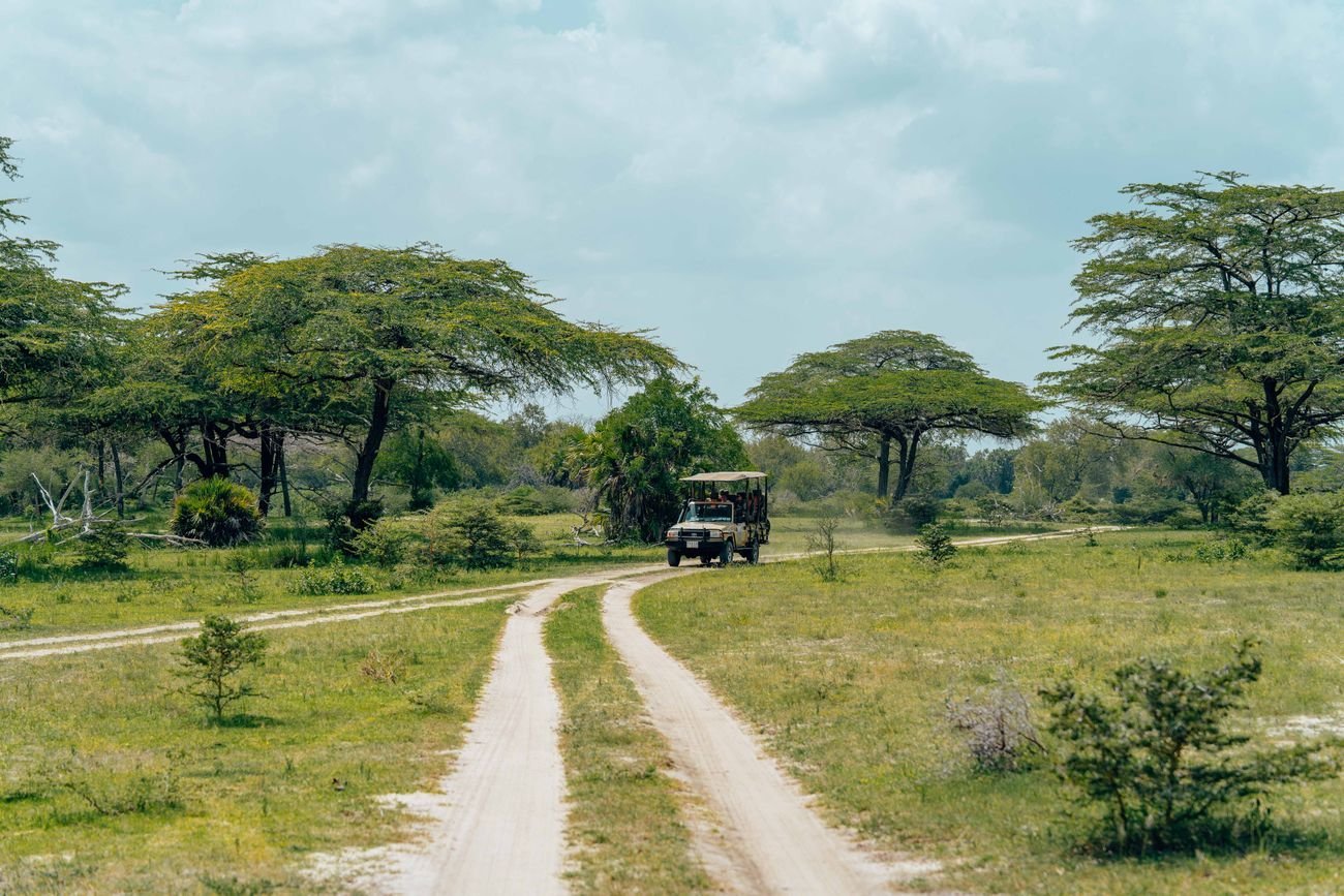 A safari vehicle on a track through an African wilderness landscape